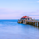 The city of San Francisco never ceases to surprise