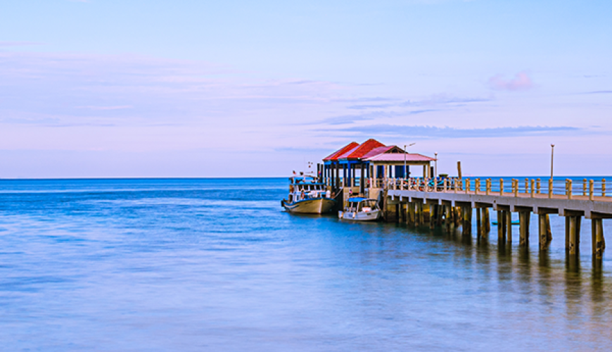 The city of San Francisco never ceases to surprise