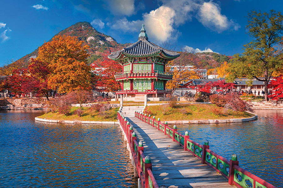 Fantasy Rock Forest Zhangjiajie 峰林幻境张家界test